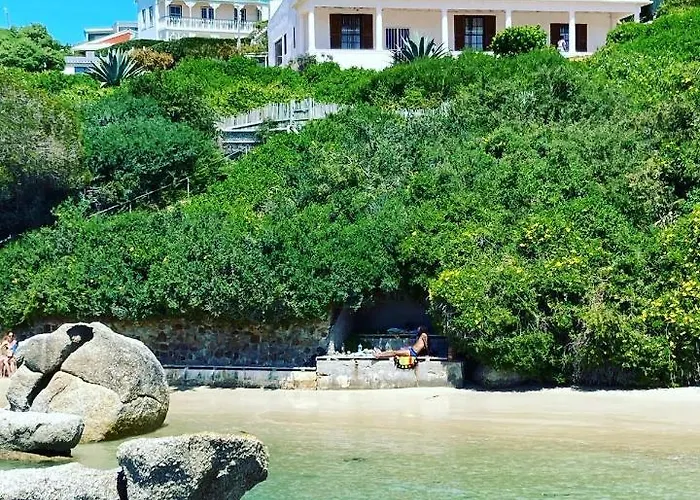 Bosky Dell On Boulders Beach