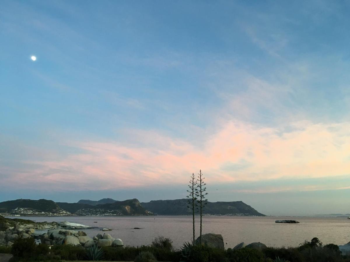 Bosky Dell On Boulders Simon's Town