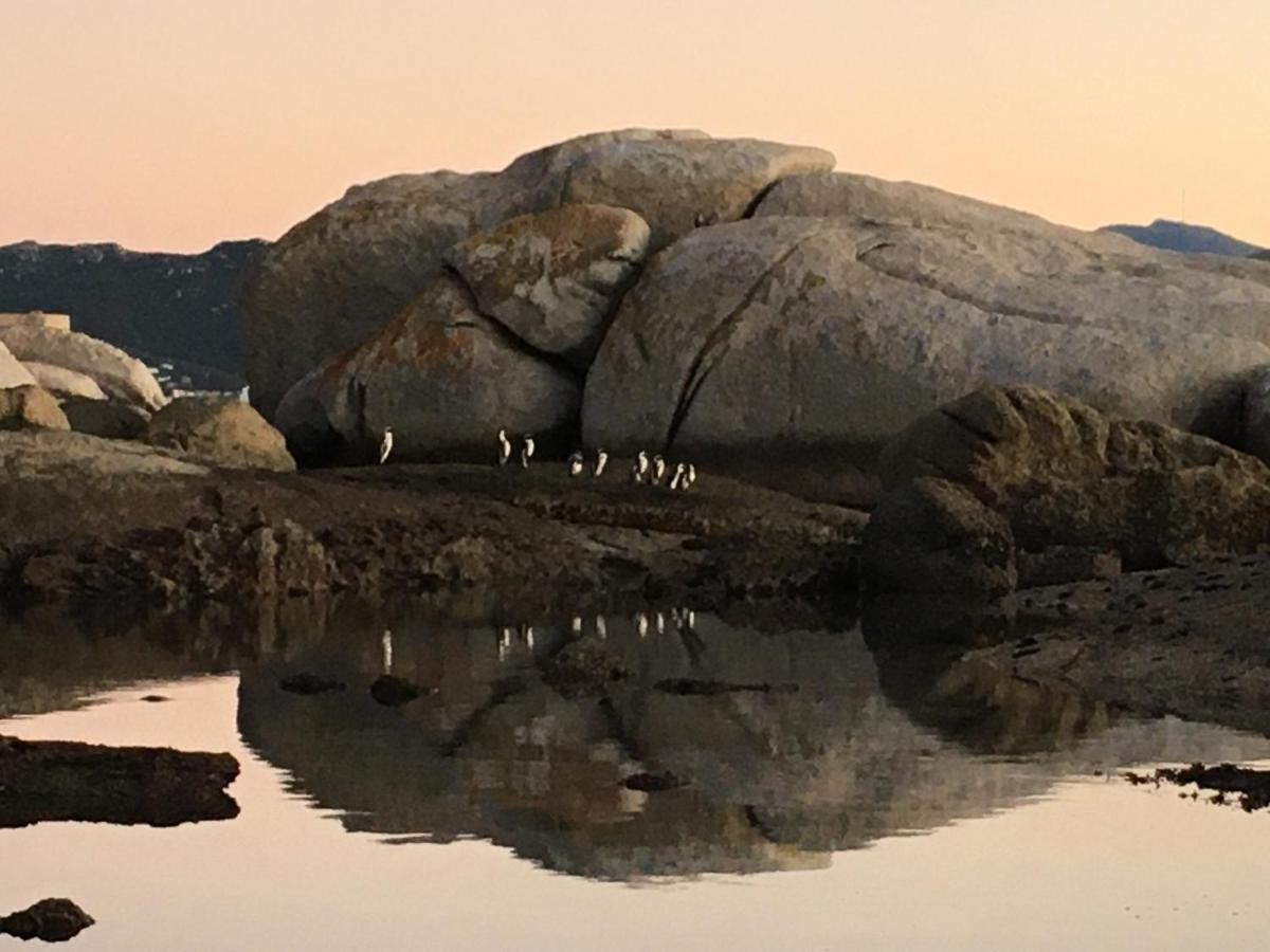 Bosky Dell On Boulders * Simon's Town