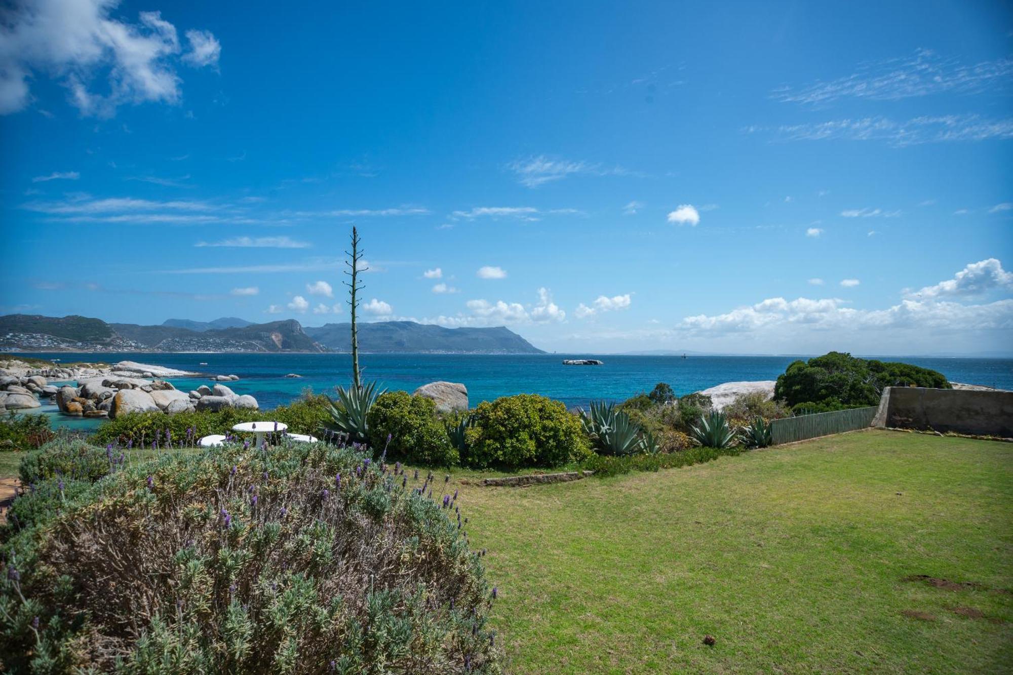 Bosky Dell On Boulders * Simon's Town