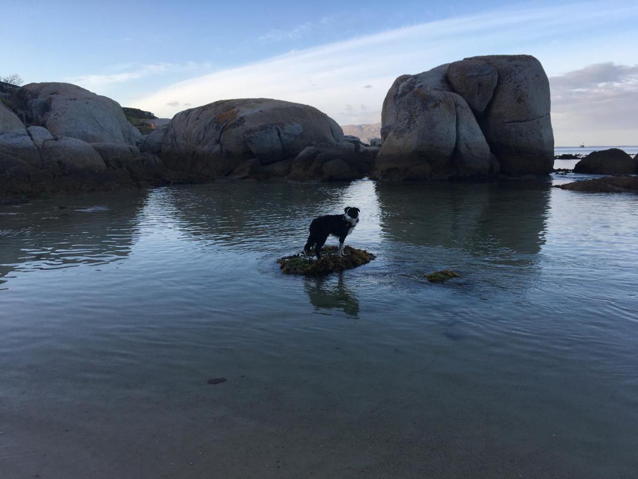 Bosky Dell On Boulders Lodge Simon's Town
